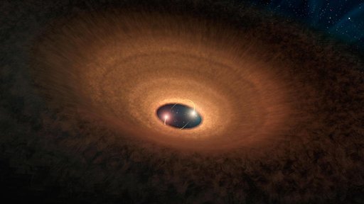 Dusty Hula Hoop Rings Blinking Stellar Duo Illustration