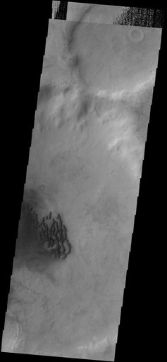 Dunes in Noachis Terra