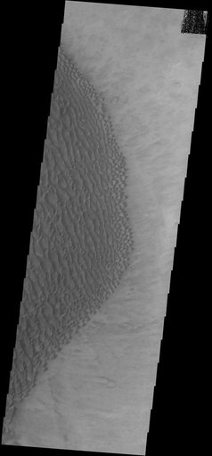 Proctor Crater Dunes