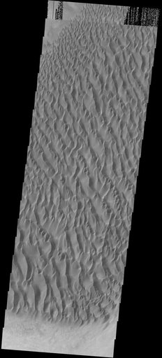 Proctor Crater Dunes