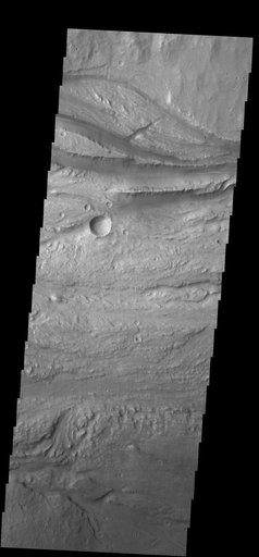Ravi Vallis