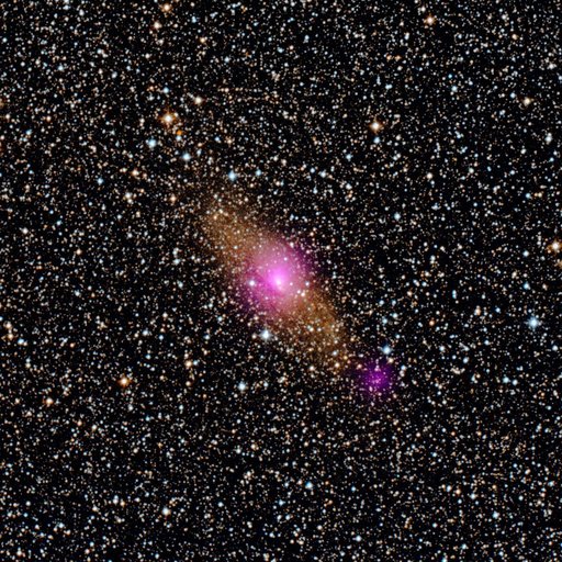 Black Holes of the Circinus Galaxy