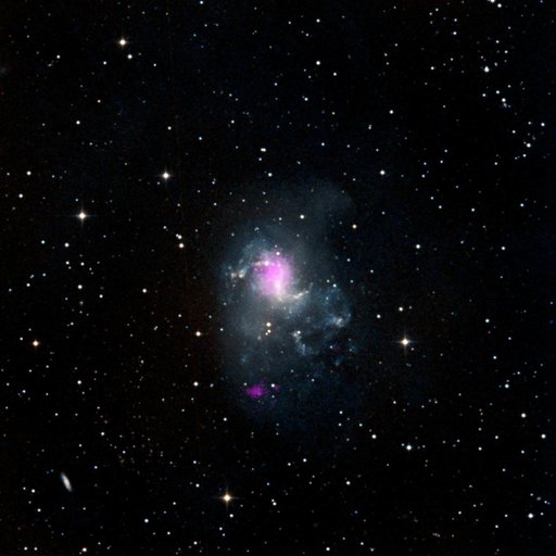Topsy Turvy Black Holes