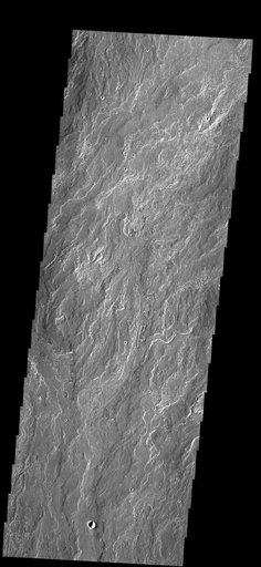 Daedalia Planum