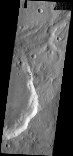 Dark Slope Streaks in Terra Sabaea