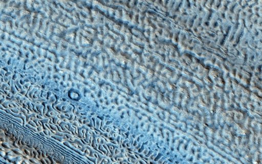 Martian Glaciers and Brain Terrain