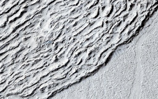 Lava Against an Impact Crater in Elysium Planitia
