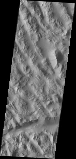 Dark Slope Streaks