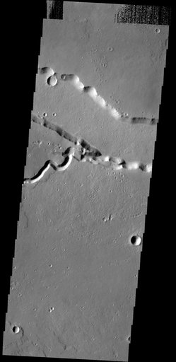 Patapsco Vallis