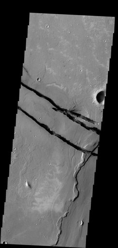 Cerberus Fossae