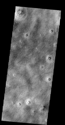 Dust Devil Tracks