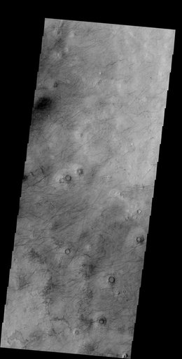 More Dust Devils