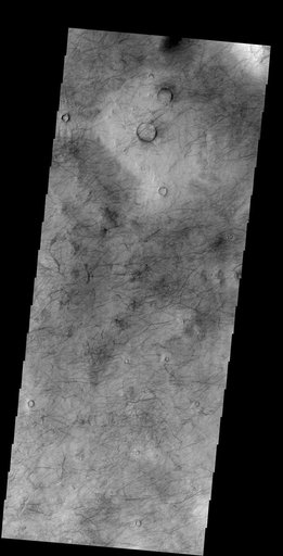 More Dust Devils