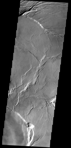 Olympus Mons Summit