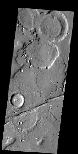 Tempe Terra