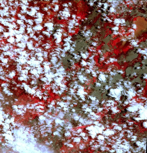 NASA Spacecraft Eyes Bolivian Flooding