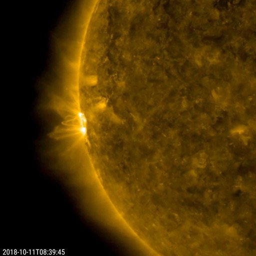 Sole Active Region in Profile