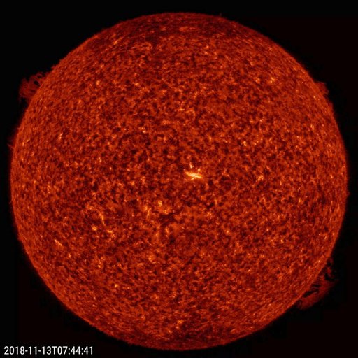 Opposing Solar Prominences