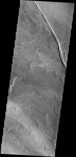 Cyane Fossae