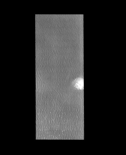 Polar Dunes