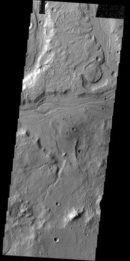 Tempe Terra