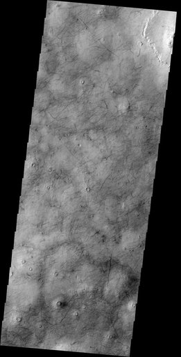 Utopia Planitia