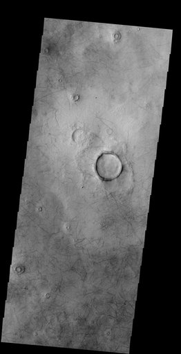Dust Devil Tracks