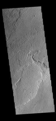 Daedalia Planum