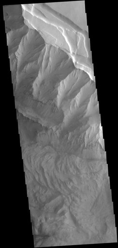 Ophir Chasma
