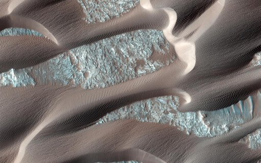 Continual Dune and Ripple Migration in Nili Patera
