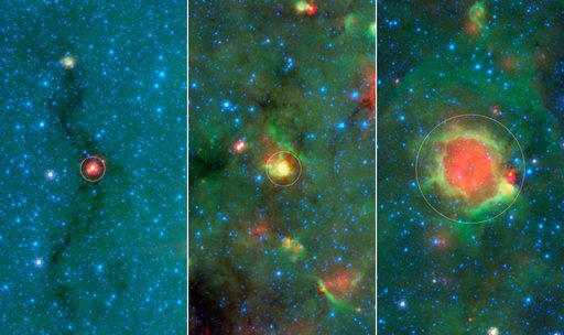 Evolution of a Massive Star