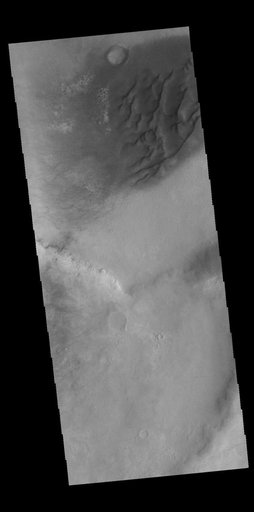 Dunes and Dust Devils
