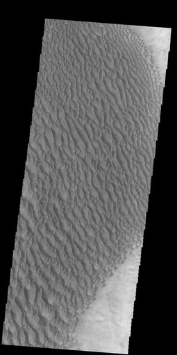 Proctor Crater Dunes