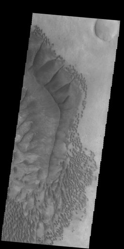 Russel Crater Dunes - VIS