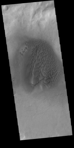 Noachis Terra Dunes - VIS