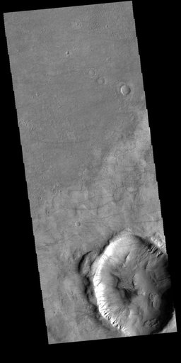Dust Devil Tracks