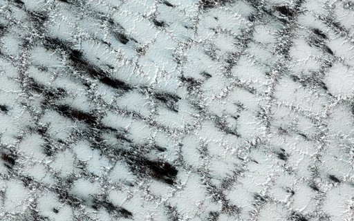 Icy Wonderland