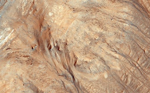 Warm-Season Flows in Cold-Season Ravines