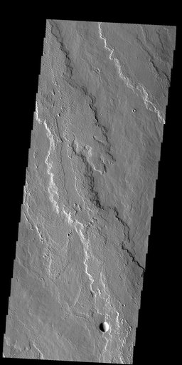 Daedalia Planum