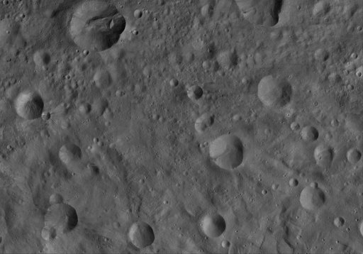 Octavia AV-L-19