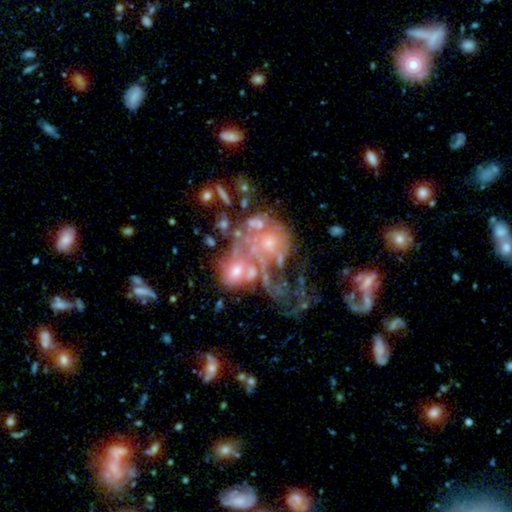 What Feeds the Beast in a Galaxy Cluster?