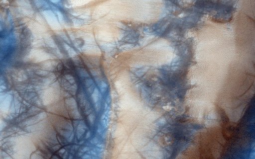 Active High-Latitude Dune-Gullies