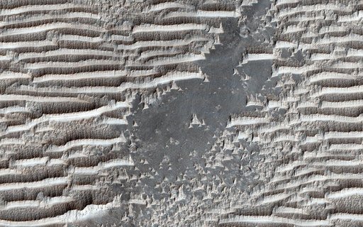 Bizarre TARs
