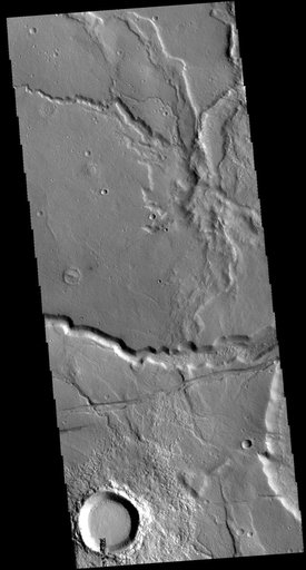 Tempe Terra