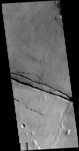 Cerberus Fossae