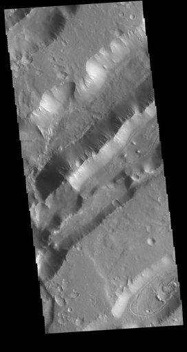 Nilokeras Fossa