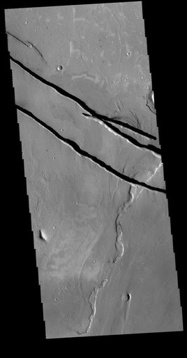 Cerberus Fossae