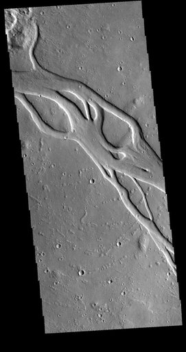 Hebrus Valles