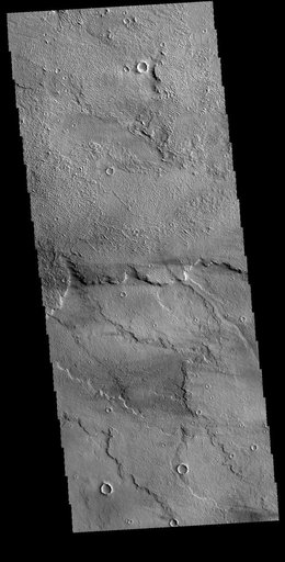 Daedalia Planum