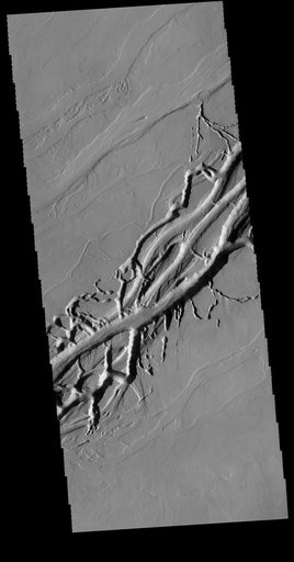 Olympica Fossae
